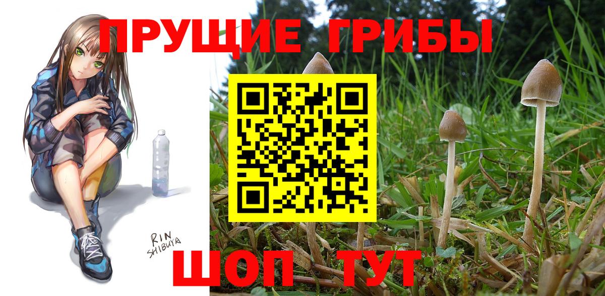 Кисловодск  где продают   Вход с VPN  Псилоцибиновые грибы ЛСД 