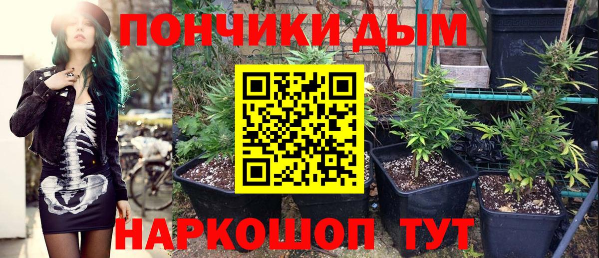Шишки марихуана AK-47  Бошки Шишки OG Kush  Вход с VPN  Кисловодск 